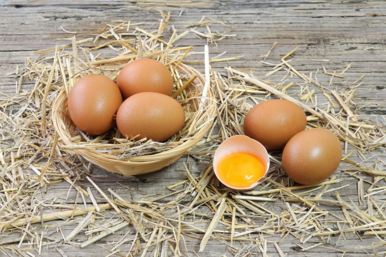 Как распознать свежесть куриного яйца? 5 надёжных способов